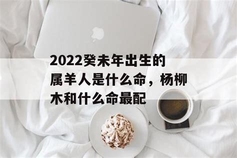 楊柳木命|杨柳木命代表的是什么意思 杨柳木命的解析